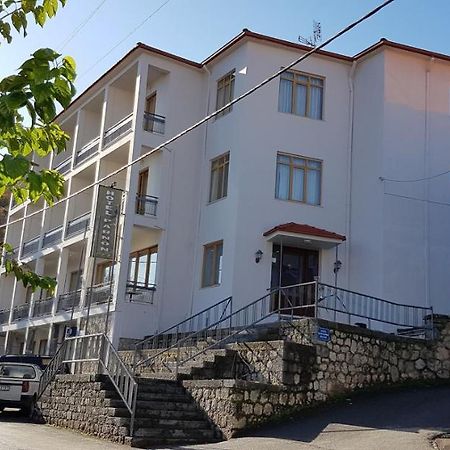 Parnon Hotel Agios Petros  エクステリア 写真